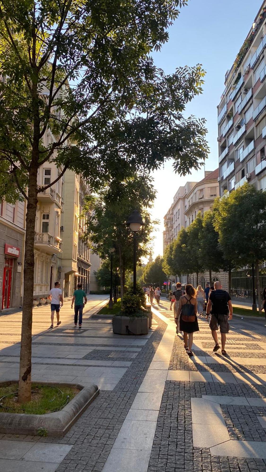 Dom Boutique Apartments - Old Town Belgrad Dış mekan fotoğraf