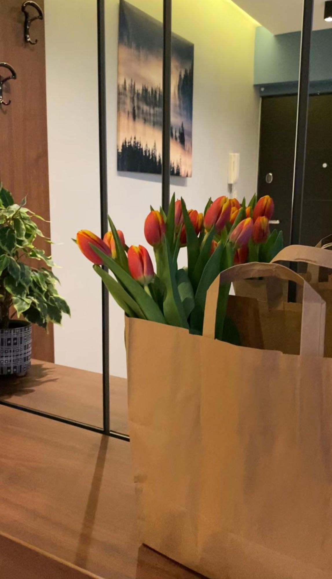 Dom Boutique Apartments - Old Town Belgrad Dış mekan fotoğraf